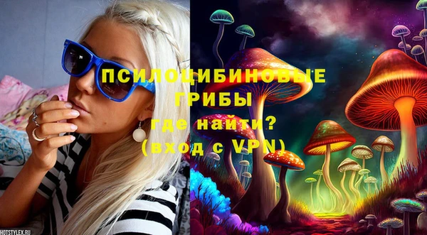 СК Алексеевка